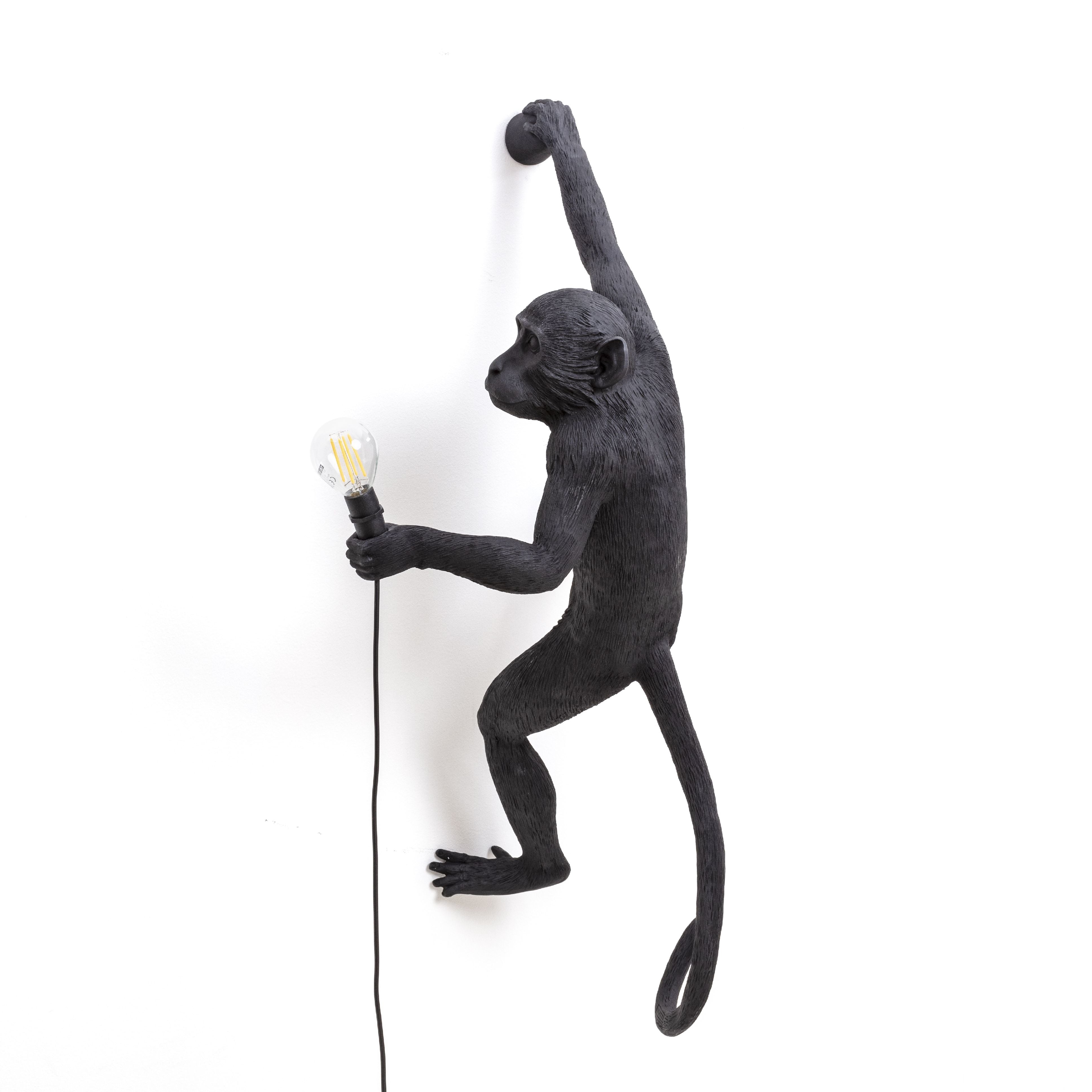 Seletti Monkey Outdoor Lamp černá, visící pravá ruka