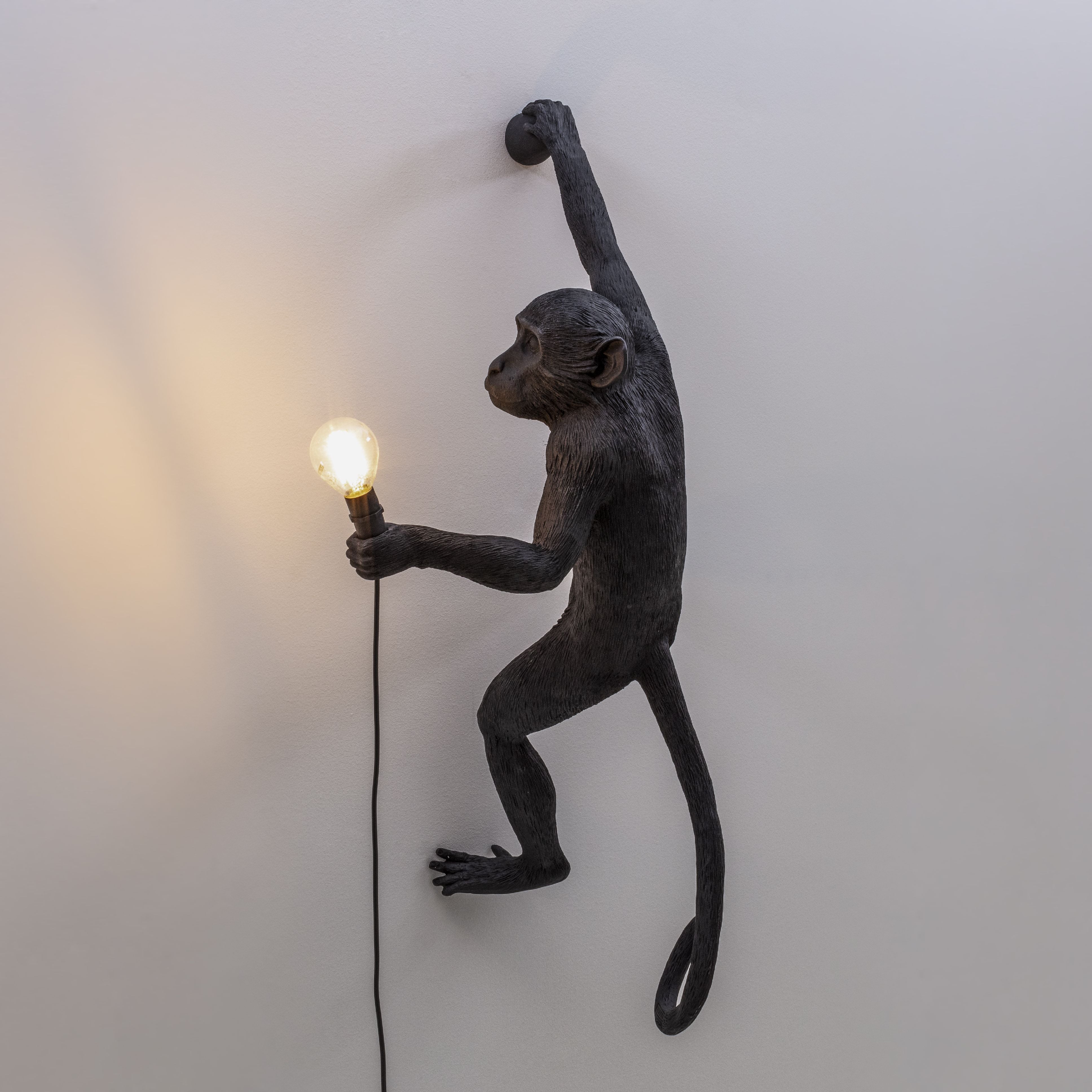 Seletti Monkey Outdoor Lamp Black, Hanging Right Hand