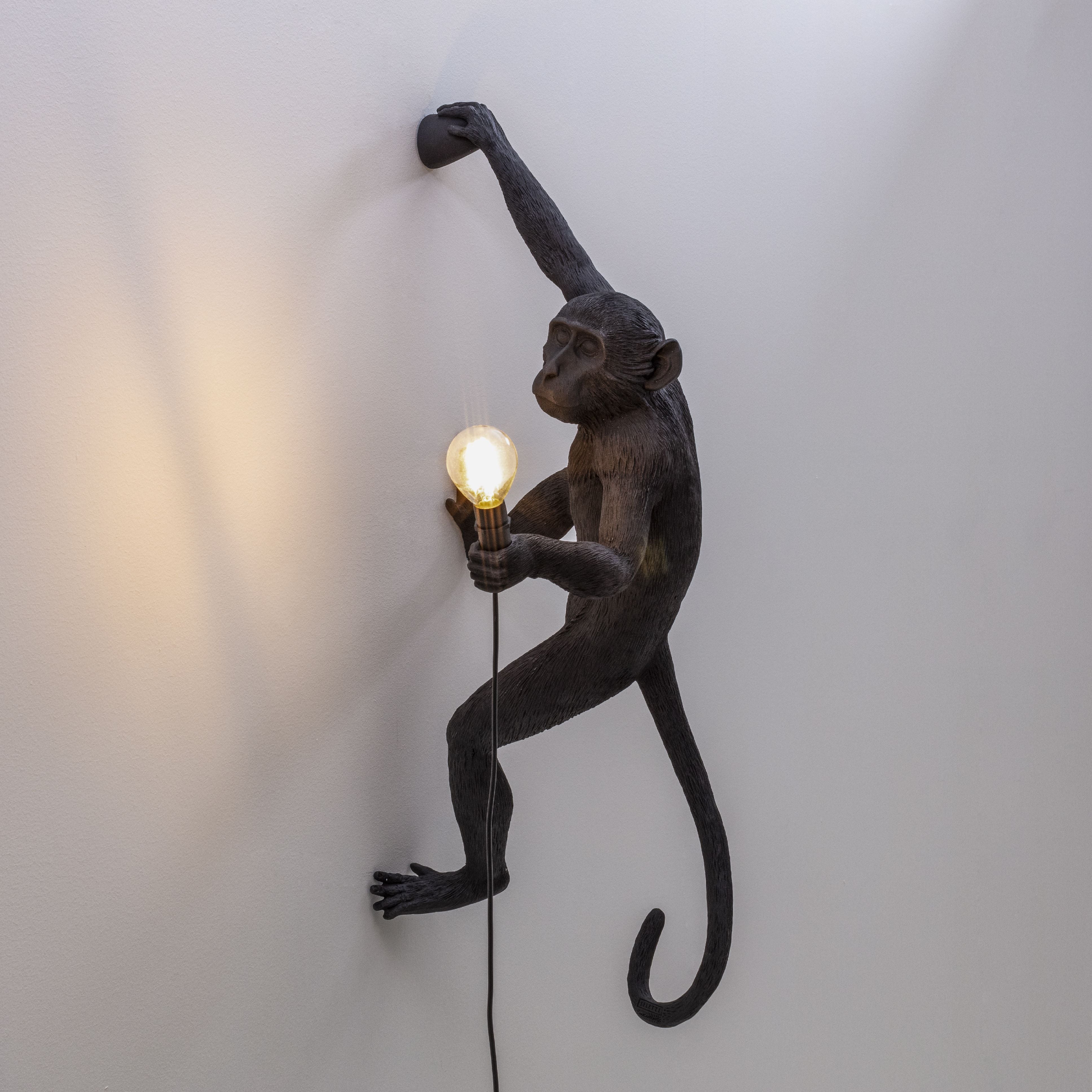 Seletti Monkey Outdoor Lamp černá, visící pravá ruka