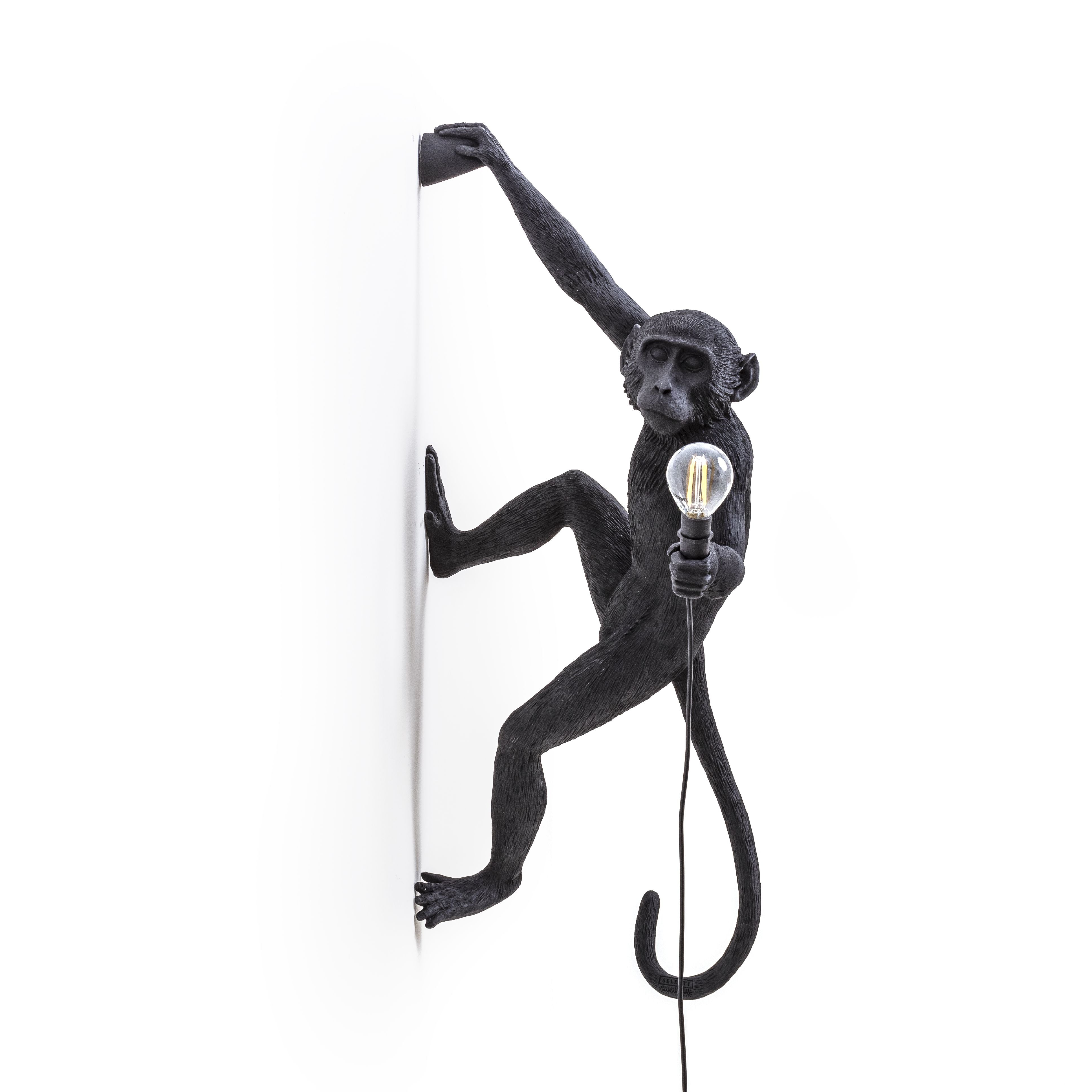 Seletti Monkey Outdoor Lamp Black, Hanging Right Hand