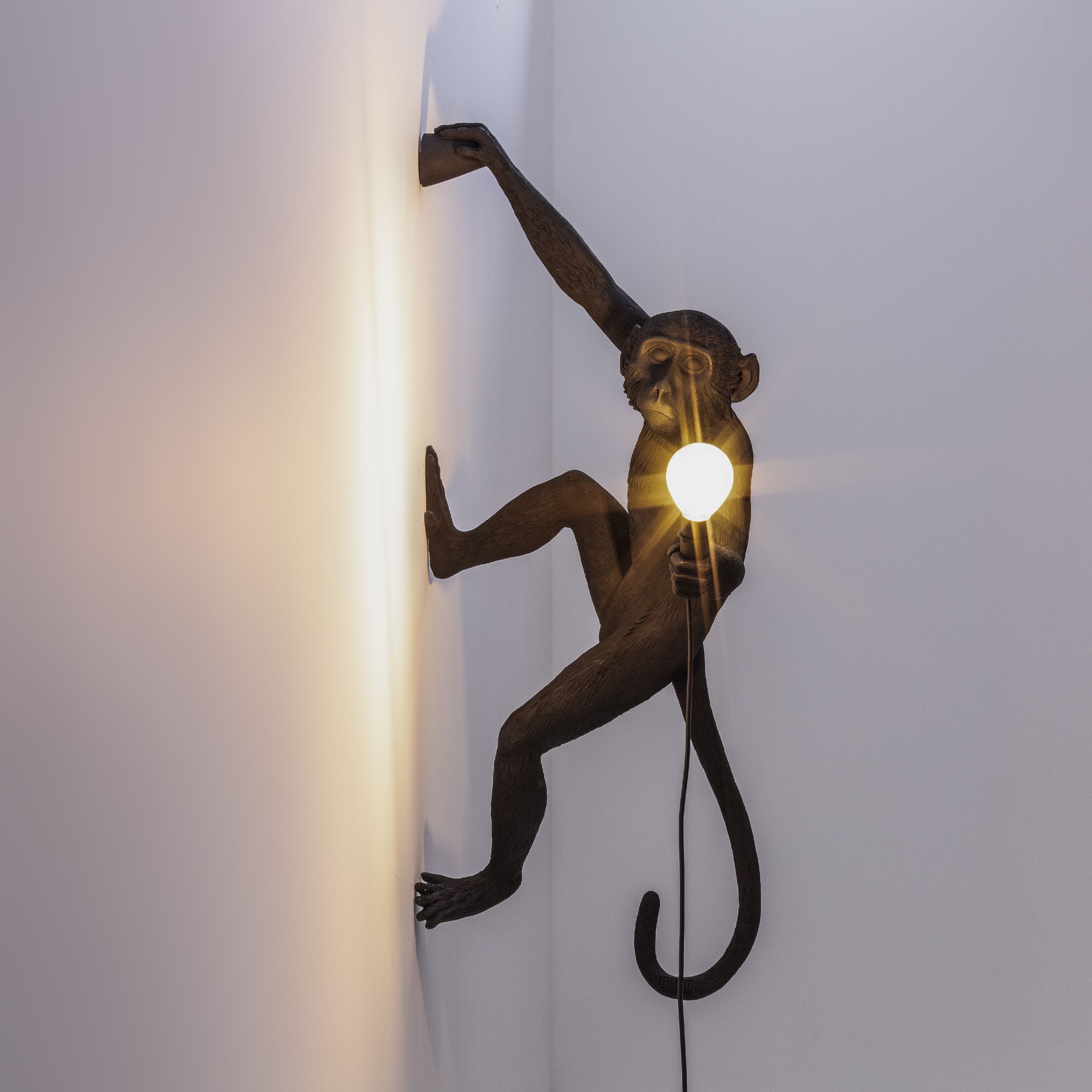 Seletti Monkey Outdoor Lamp Black, Hanging Right Hand