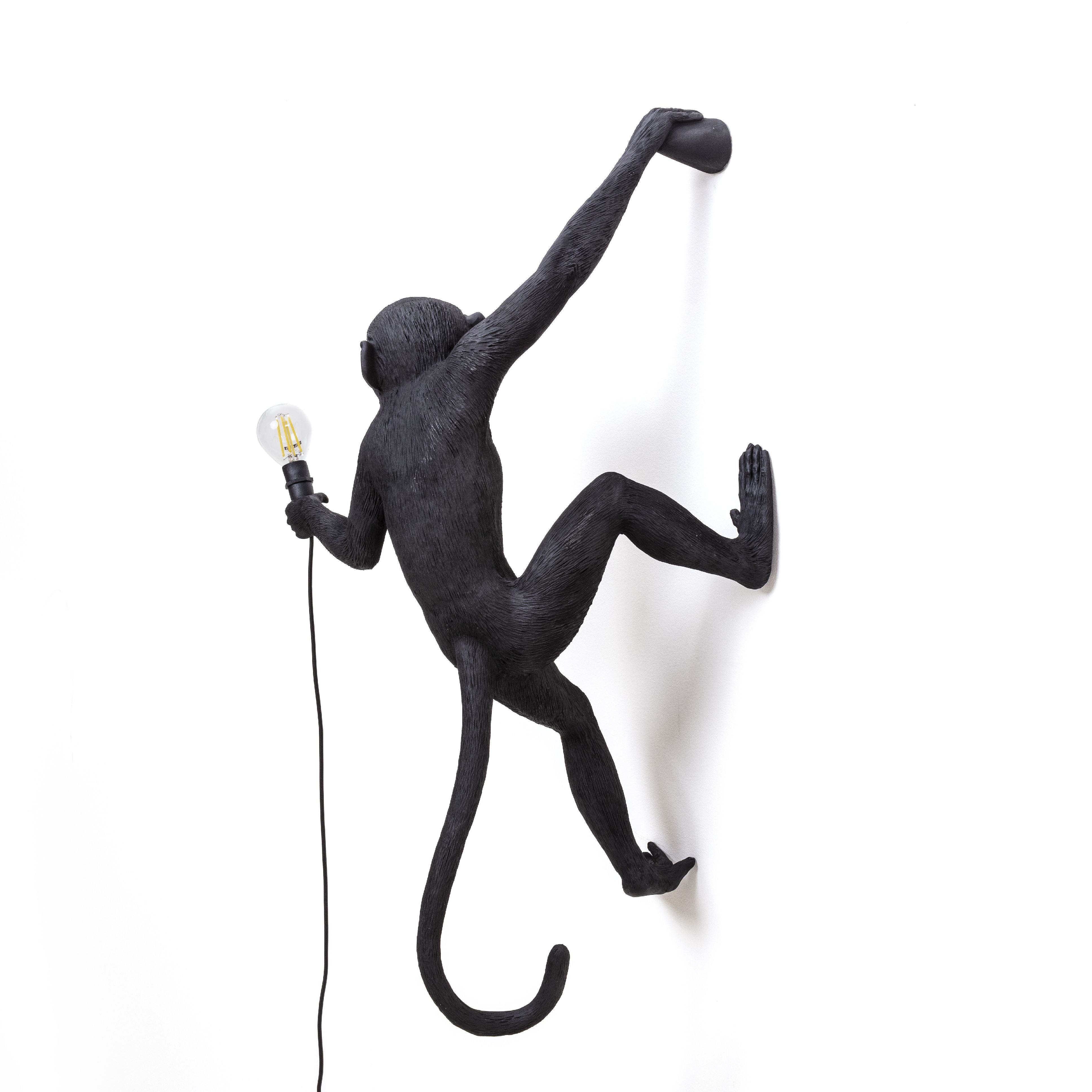 Seletti Monkey Outdoor Lamp černá, visící pravá ruka