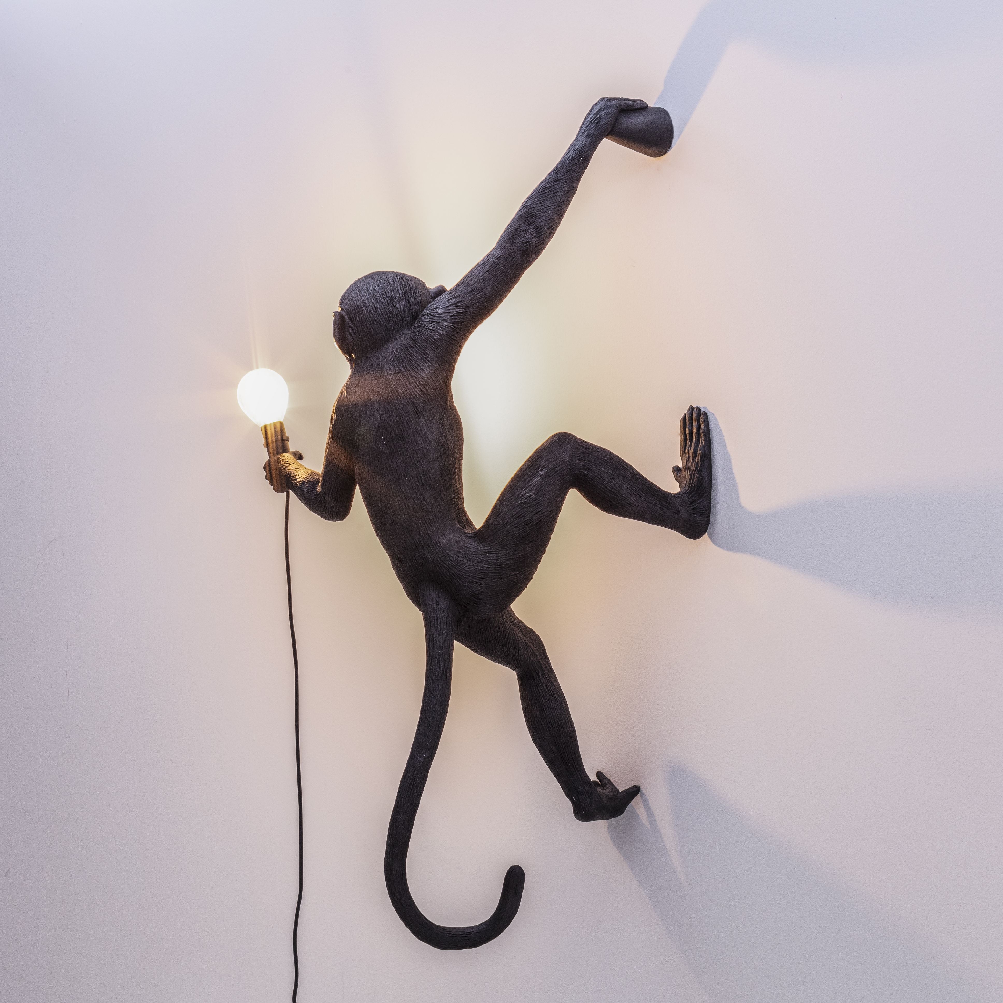 Seletti Monkey Outdoor Lamp Black, Hanging Right Hand