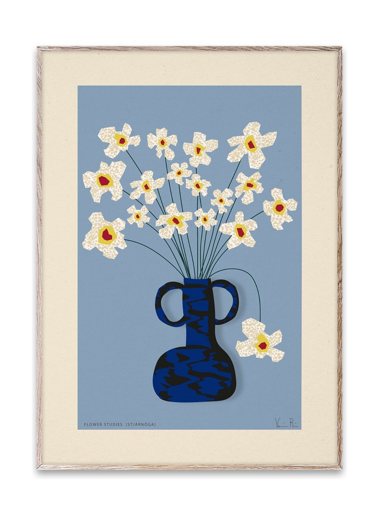 [product_category]-Paper Collective Flower Studies 04 (Stjärnöga) Poster, 50x70 Cm-Paper Collective-5713450016273-19112-PAP-1