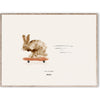 Kolektivní papír Rocky The Rabbit Poster 30x40 cm