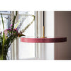  Asteria LED Pendant Brass/Nuance Rose