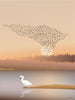  Murmuration Poster 50x70 Cm