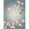  Sakura Poster 50 X70 Cm