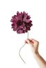 Studio About Paper Flower Grand Dahlia, Aubergine