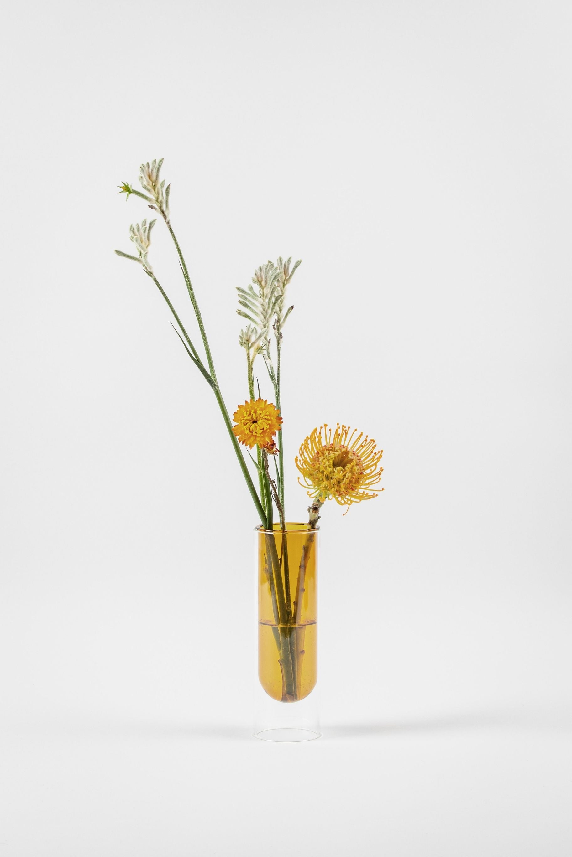 Studio o váze květinové trubice 20 cm, žlutá