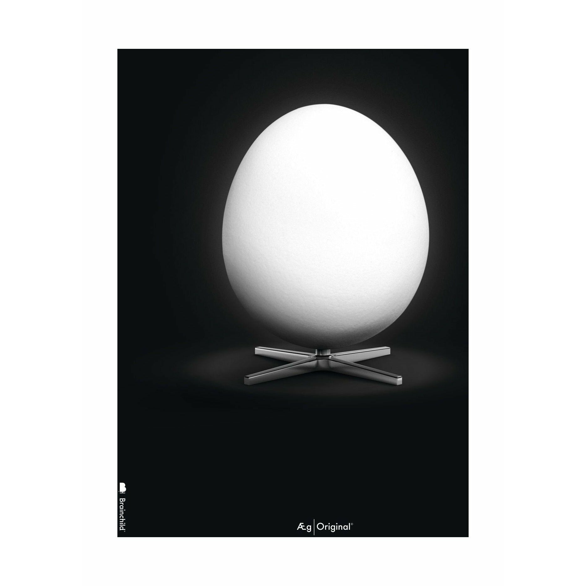 Klasický plakát s vaječným mozkem bez rámu 70 x100 cm, černé pozadí