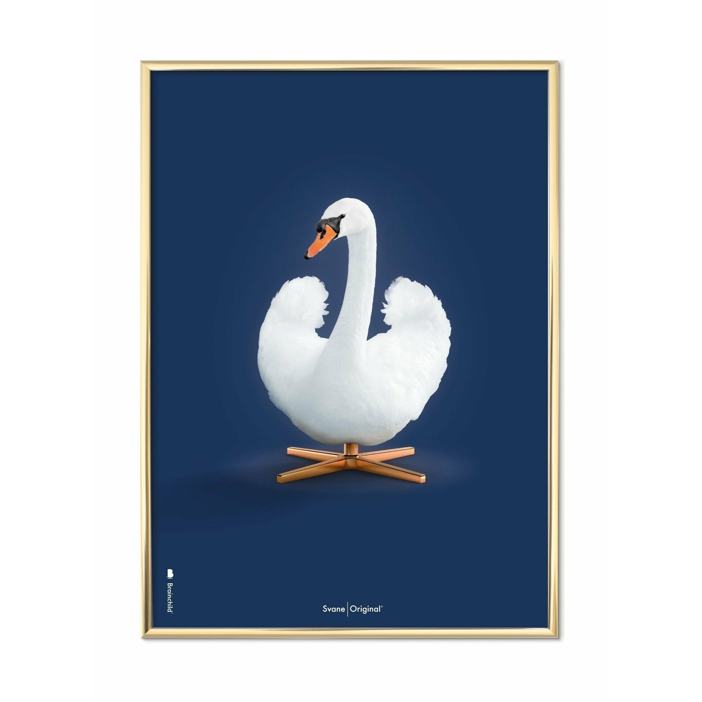 Klasický plakát s labuťovým plakátem, mosazný barevný rám A5, tmavě modré pozadí