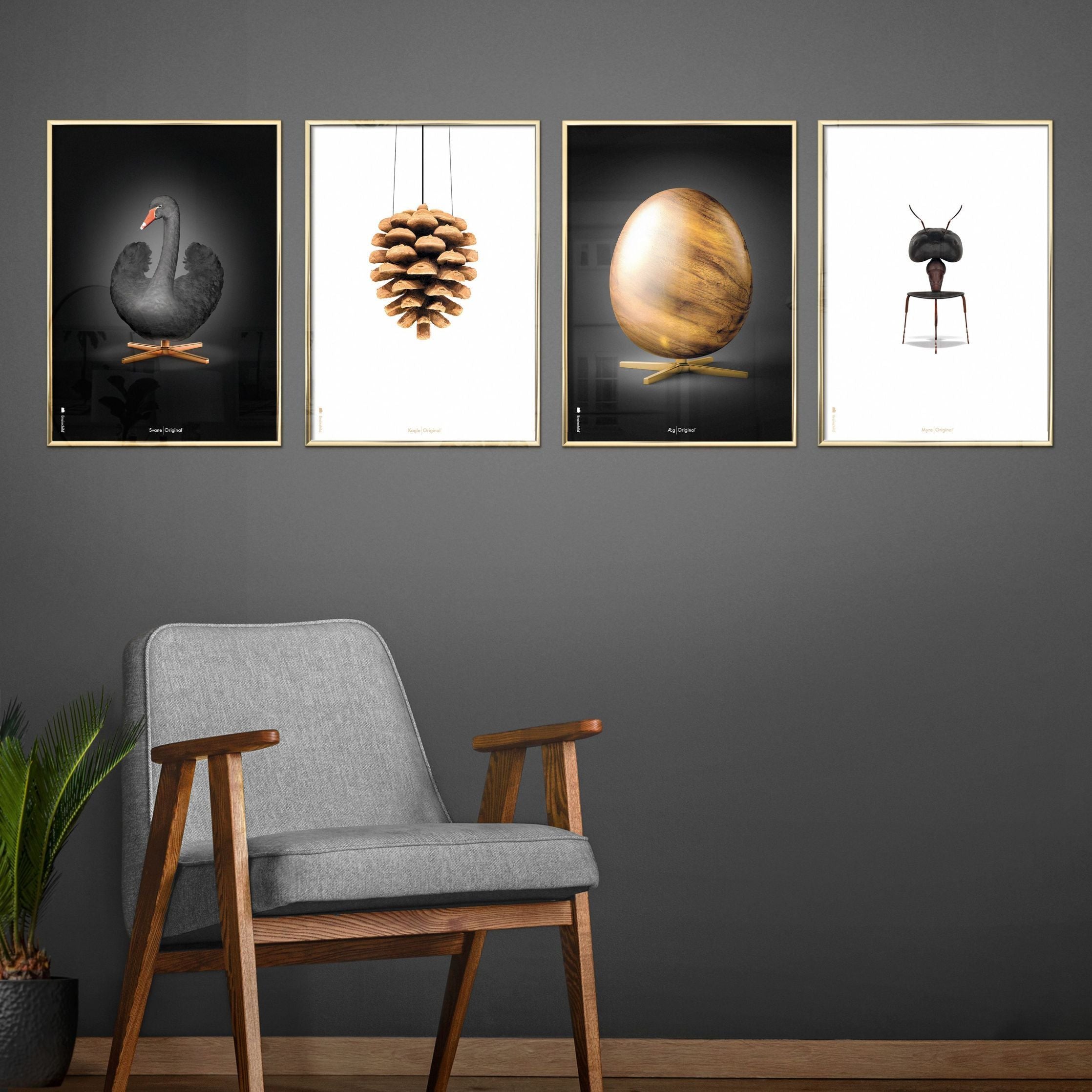 Klasický plakát mozkového kuželu bez rámu 50 x70 cm, bílé pozadí