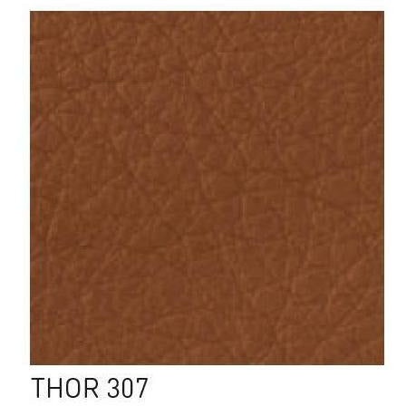 Vzorek Carl Hansen Thor, Thor 307