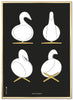 Brainchild Swan Design Sketches Poster Frame Made Of Brass Coared Metal 50x70 Cm, Black Background