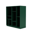 Montana Compile Decorative Shelf With 3 Cm Plinth Pine Green