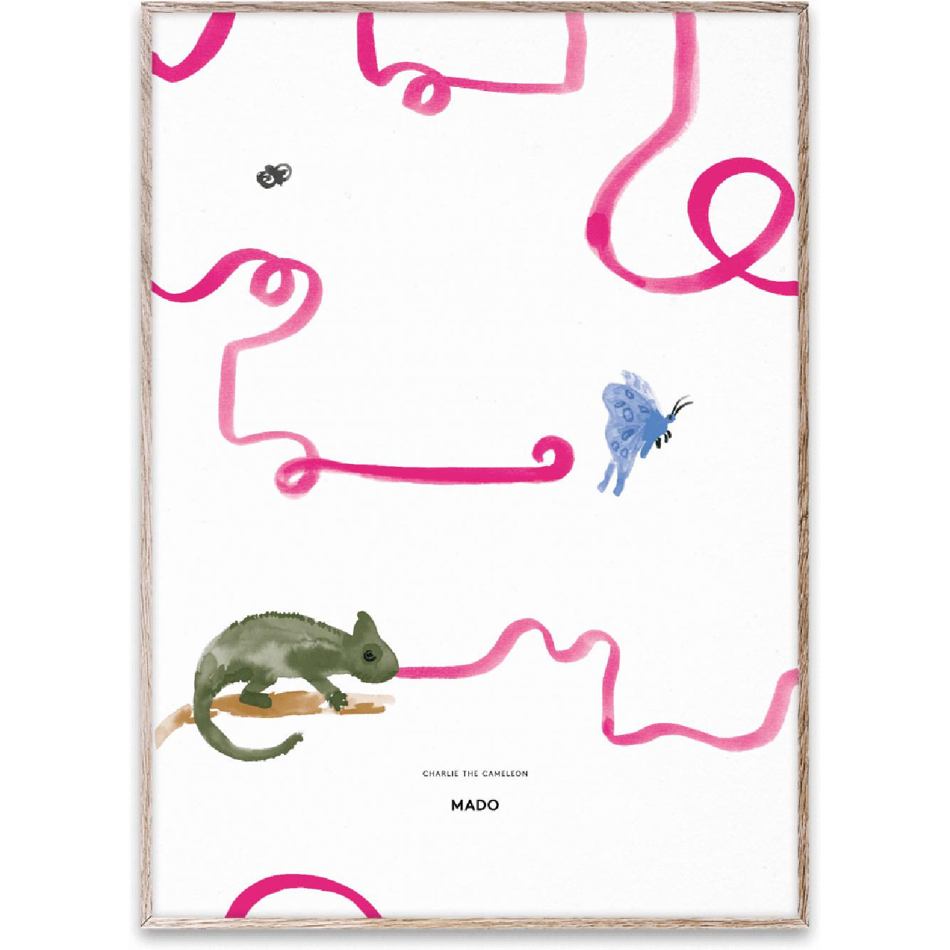 Paper Collective Charlie The Chameleon plakát, 50x70 cm