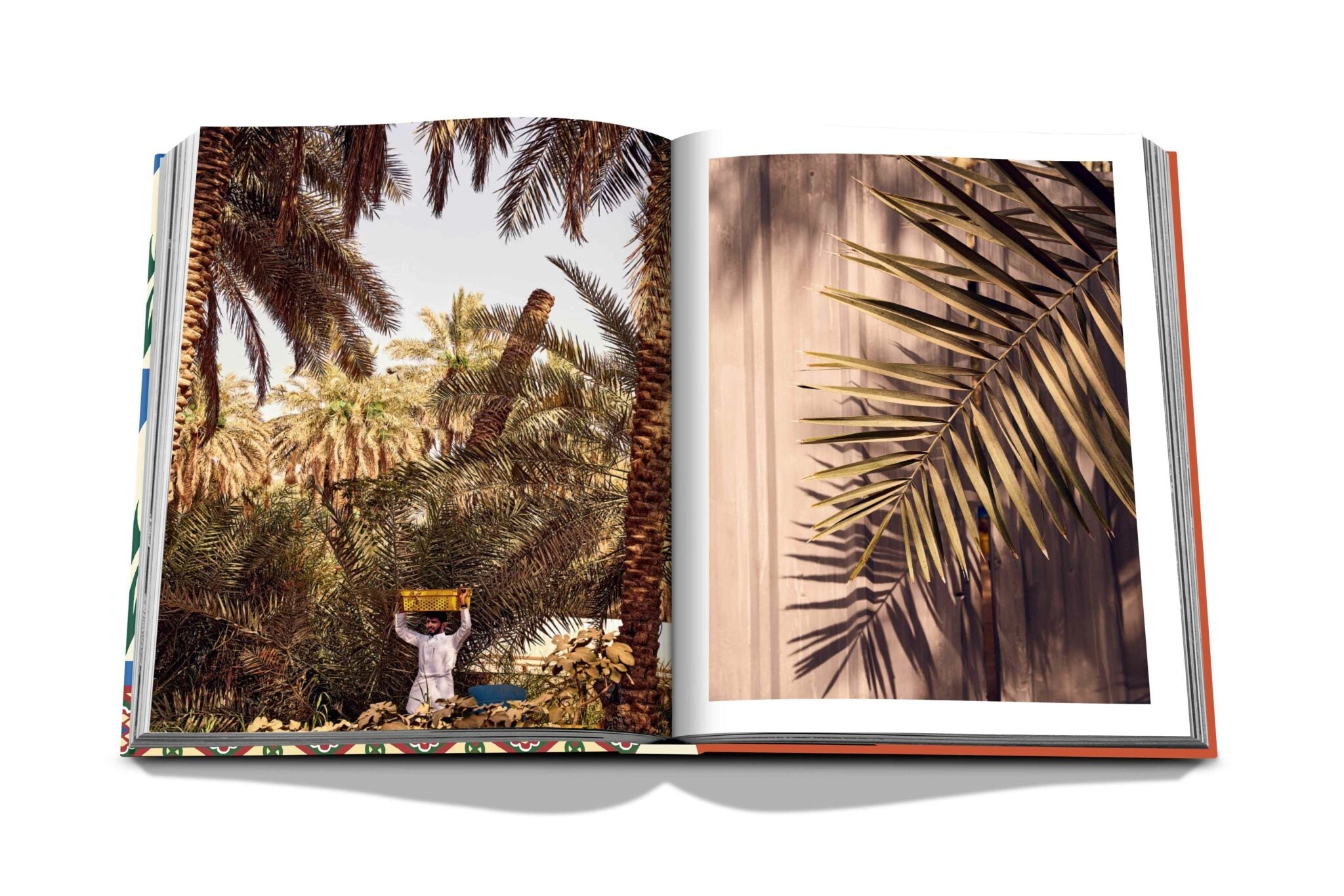 Assouline Saudi Dates: Portrét posvátného ovoce