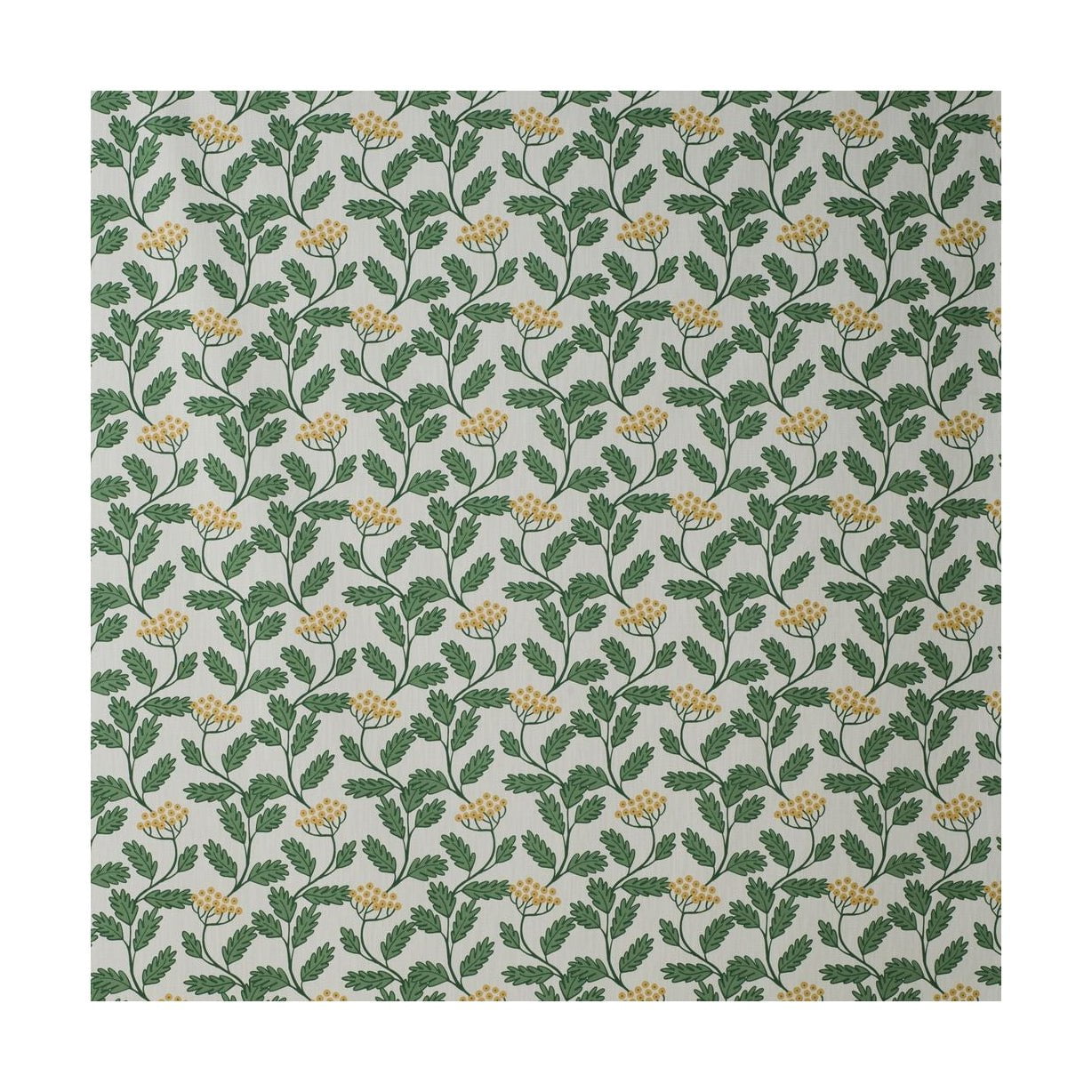 Šířka tkaniny Spira Renfana 150 cm (cena za metr), zelená