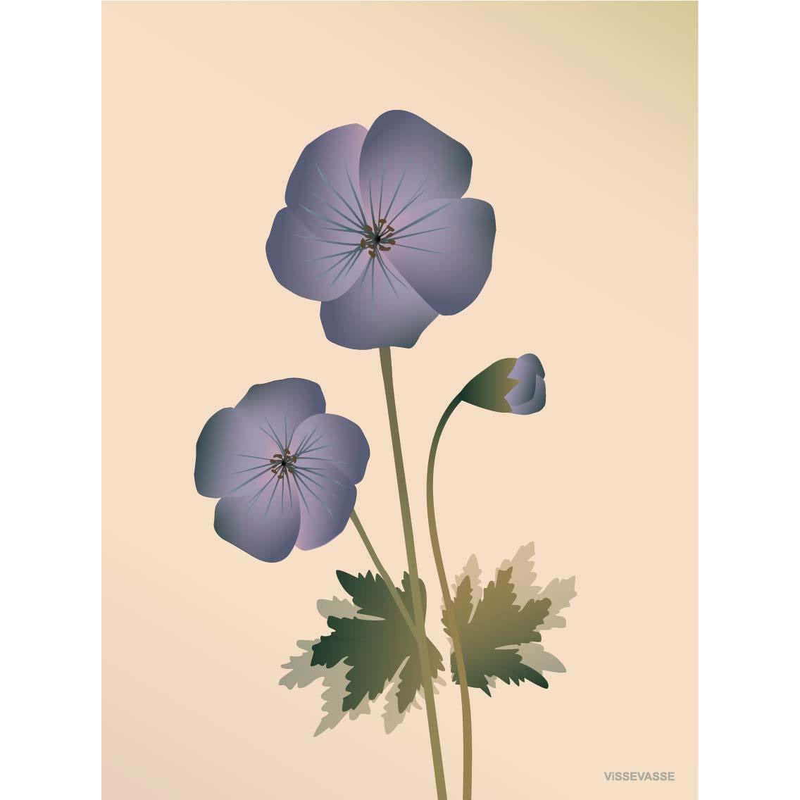Vissevasse Geranium plakát 50 x70 cm, nahý