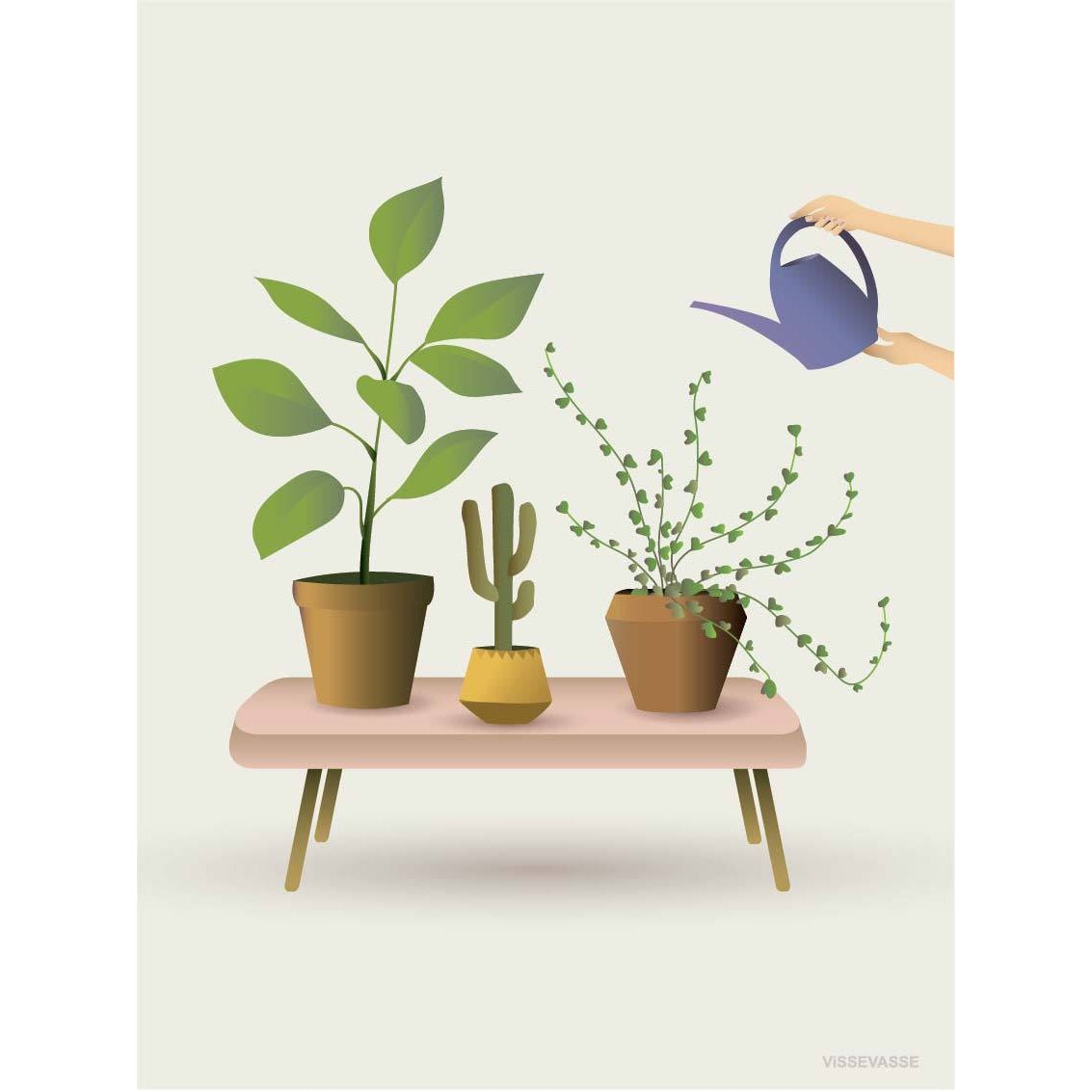 Vissevasse Growing Plants Poster, 15 X21 Cm