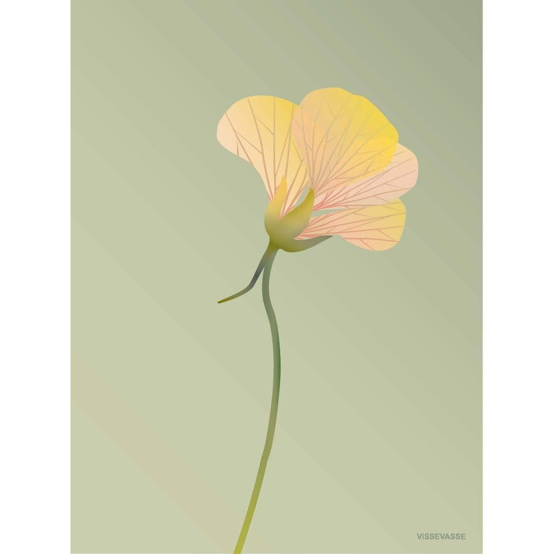 Vissevasse Nasturtium plakát 30 x40 cm, zelená